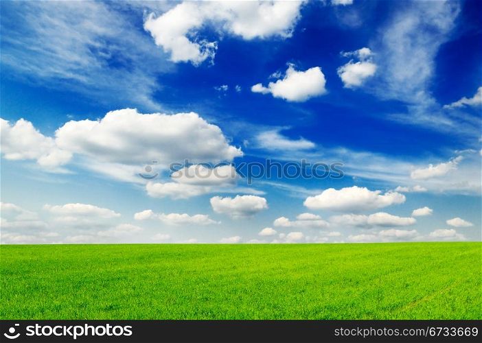 meadow and the beautiful blue sky covered by clouds