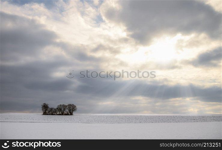 Meadow covered in snow, a cluster of trees and a dramatic sky sun rays piercing through the clouds. Minimalist winter landscape.