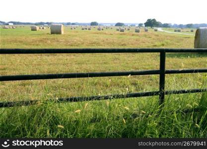 Meadow grasslands farm round cereal bales in Texas