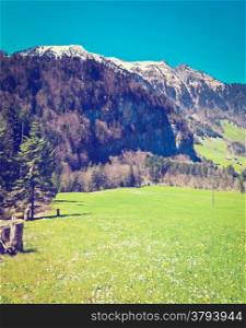 Meadow High Up in the Swiss Alps, Retro Effect