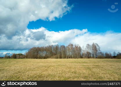 Meadow in front of a small forest and clouds on the sky, March day