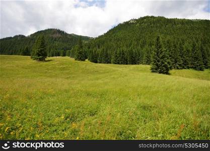 meadow in mountains. Mountain landscape