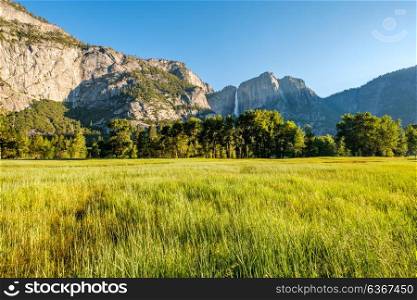 Meadow in Yosemite National Park Valley with Yosemite Falls. California, USA.