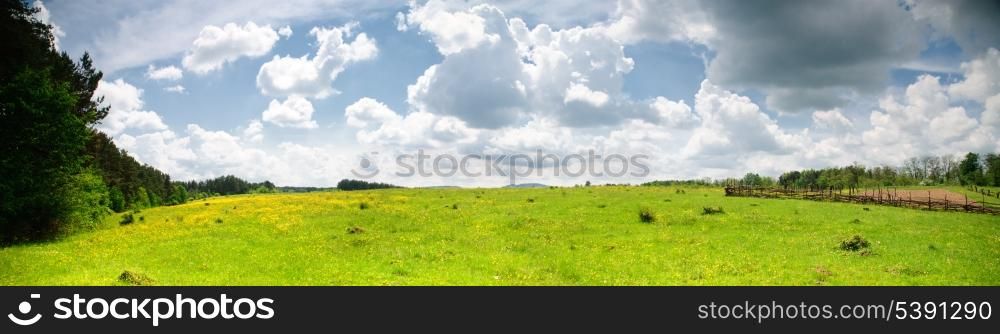 Meadow wide view of nature