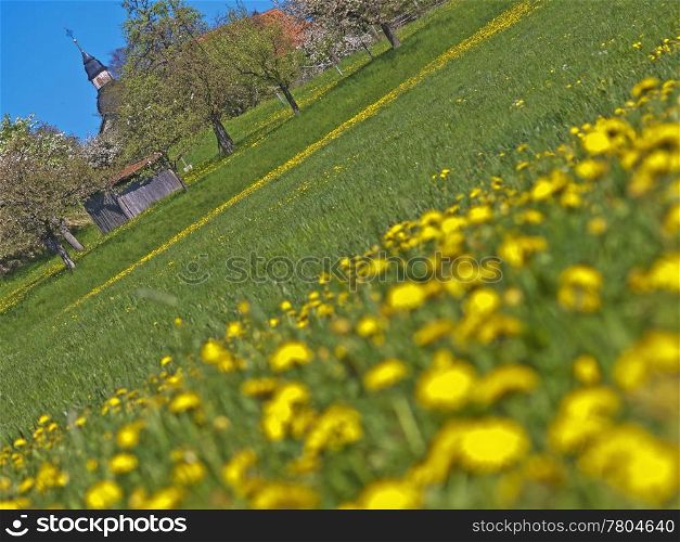 meadow with dandelion and a view on a chapelle. country idyll