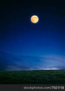 meadow with grass on a mountain top near forest at night in full moon light