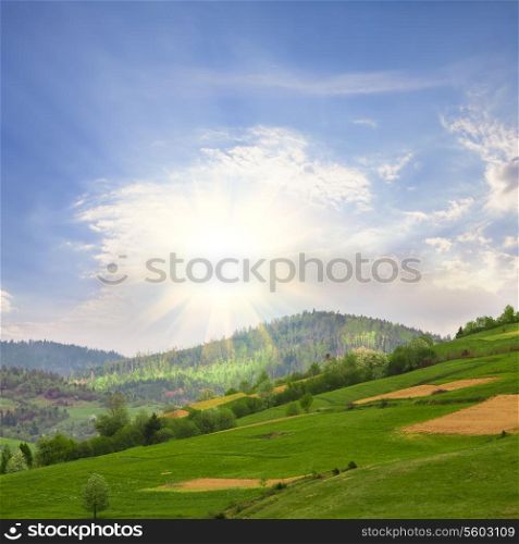 Meadows in the mountains, agricultural fields view