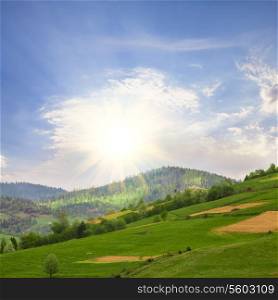Meadows in the mountains, agricultural fields view