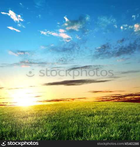 meadows landscape with clouds on the sky