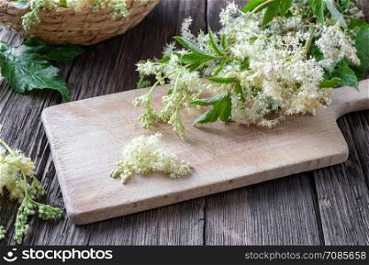 Meadowsweet blossoms on a cutting board