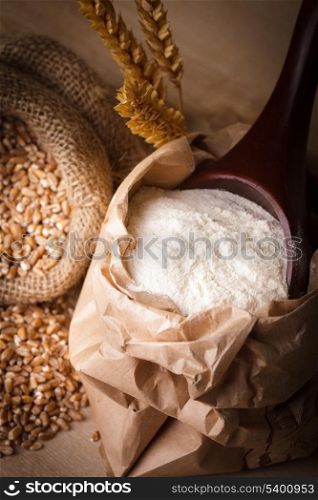 Meal in sack with wooden spoon closeup