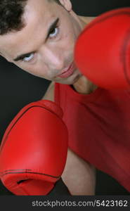 Mean-looking boxer with his padded gloves