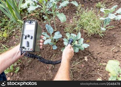 Measurement the natural radioactivity concentration levels in vegetables