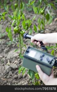 Measuring radiation levels of vegetable