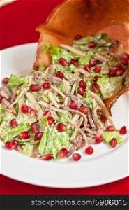 meat and pomegranate salad . salad with meat sauce and pomegranate