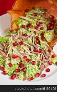 meat and pomegranate salad . salad with meat sauce and pomegranate