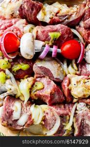 Meat in the spices and marinade with kiwi threaded on skewers for kebabs. Fresh marinated meat