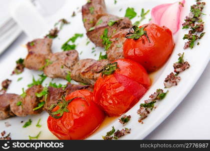 Meat kebab served in plate