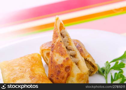 Meat pancakes served in the plate