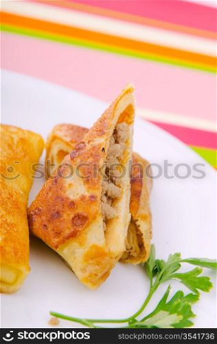 Meat pancakes served in the plate