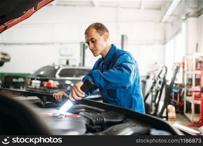 Mechanic checks the engine compartment of the vehicle, motor diagnostic. Car with opened hood, auto-service. Mechanic checks engine compartment of the vehicle