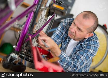 Mechanic working on bicycle