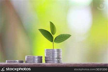 Medallion graph shape and green tree top to grown in concept of . Medallion graph shape and green tree top to grown in concept of business investment profits,on old wooden background.
