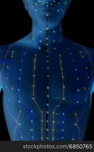 Medical acupuncture model of human on black background