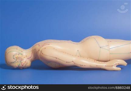 Medical acupuncture model of human on blue background