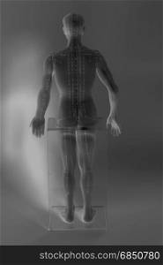 Medical acupuncture model of human on gray background