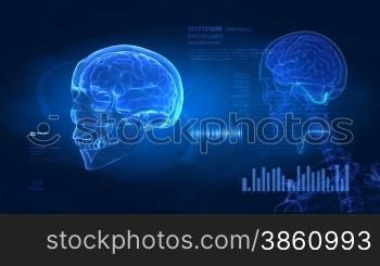 Medical display with brain and pulse trace in loop