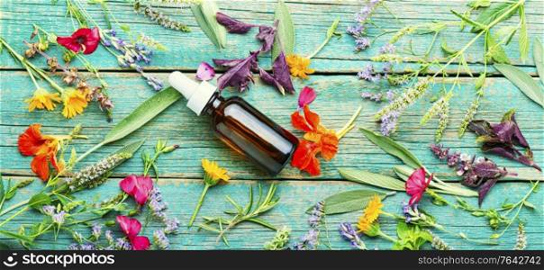 Medical essential oils of flowers and herbs.Herbal essence.Natural cosmetic. Bottle with herb essential oil