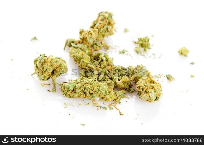 Medical marijuana isolated on white background.