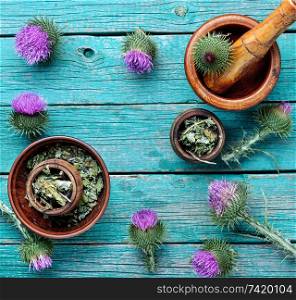 Medical plants flowers.Milk thistle or Silybum marianum. Herbal medicine and homeopathy