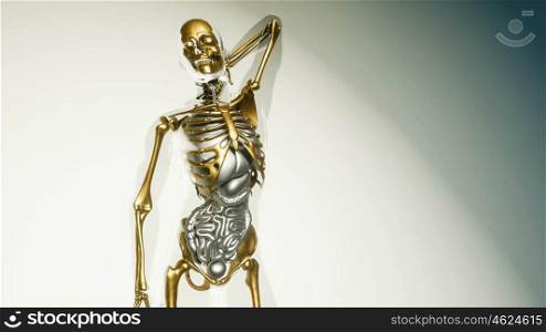medical science of human skeleton bones model with organs. Human Skeleton Bones Model with Organs