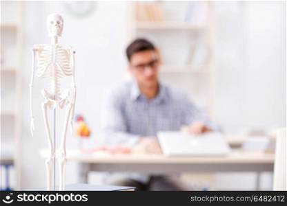 Medical student studing the skeleton
