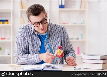 Medical student studying heart in classroom during lecture