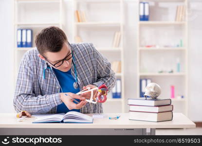 Medical student studying heart in classroom during lecture