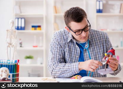 Medical student studying heart in classroom during lecture