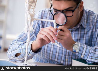 Medical student studying in classroom