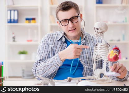 Medical student studying skeleton in classroom during lecture