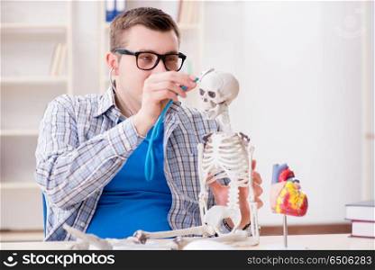 Medical student studying skeleton in classroom during lecture