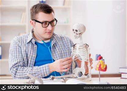 Medical student studying skeleton in classroom during lecture