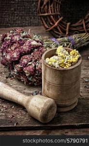medicinal herb. beam ligament healing herbs traditional medicine and pestle.Selective focus.photo tinted