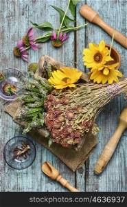 Medicinal herbs and plants. set of collected herbs and flowers for medicinal purposes