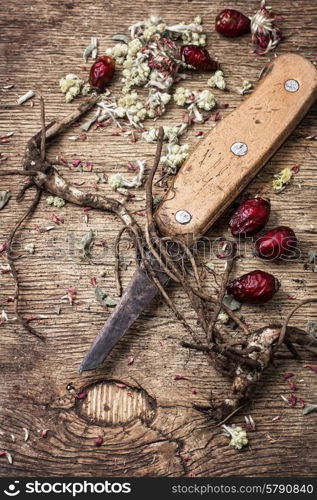 medicinal herbs and roots in dried form,as means of alternative medicine.