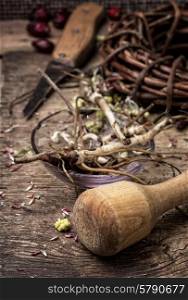medicinal herbs and roots in dried form,as means of alternative medicine.Selective focus