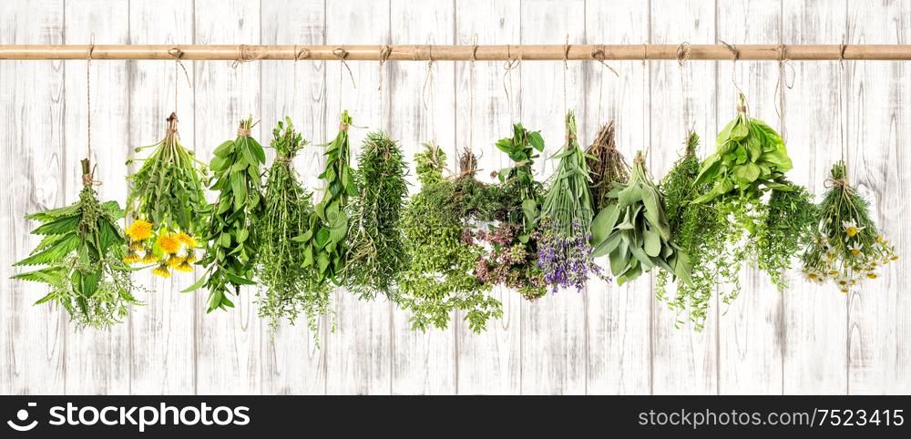 Medicinal herbs. Herbal apothecary. Basil, rosemary, sage, thyme, mint, oregano, marjoram, savory, lavender, dandelion, camomile, nettle