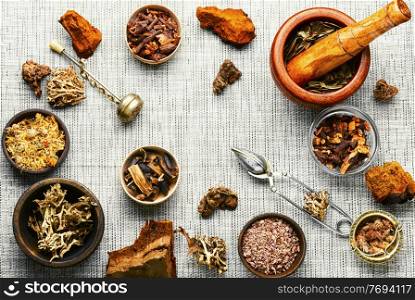 Medicinal herbs in herbal medicine.Healing plants.Chinese herbal medicine. Medicinal healing herbs in alternative medicine
