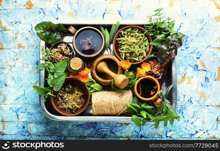 Medicinal herbs, plants and roots in alternative medicine.Herbal medicine. Big set of homeopathic herbs